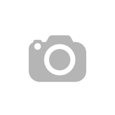 Масло моторное SL 10W-40, 4 л